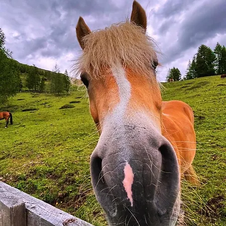 Almhuette Astental *